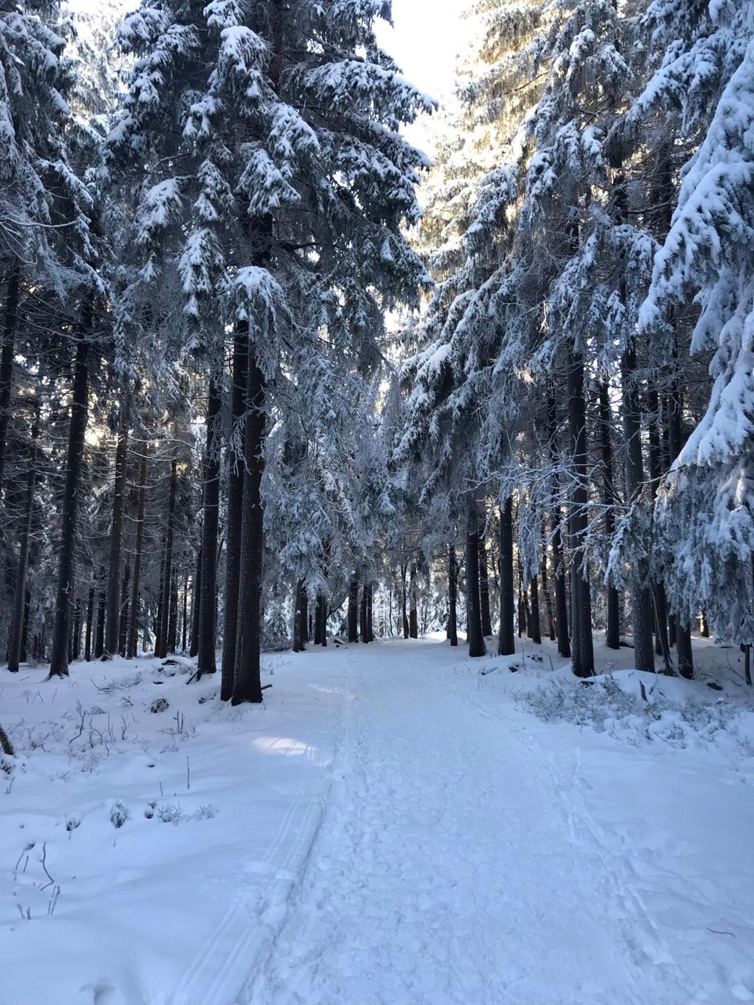 Utulny Apartman U Mumlavskych Vodopadu Harrachov Extérieur photo