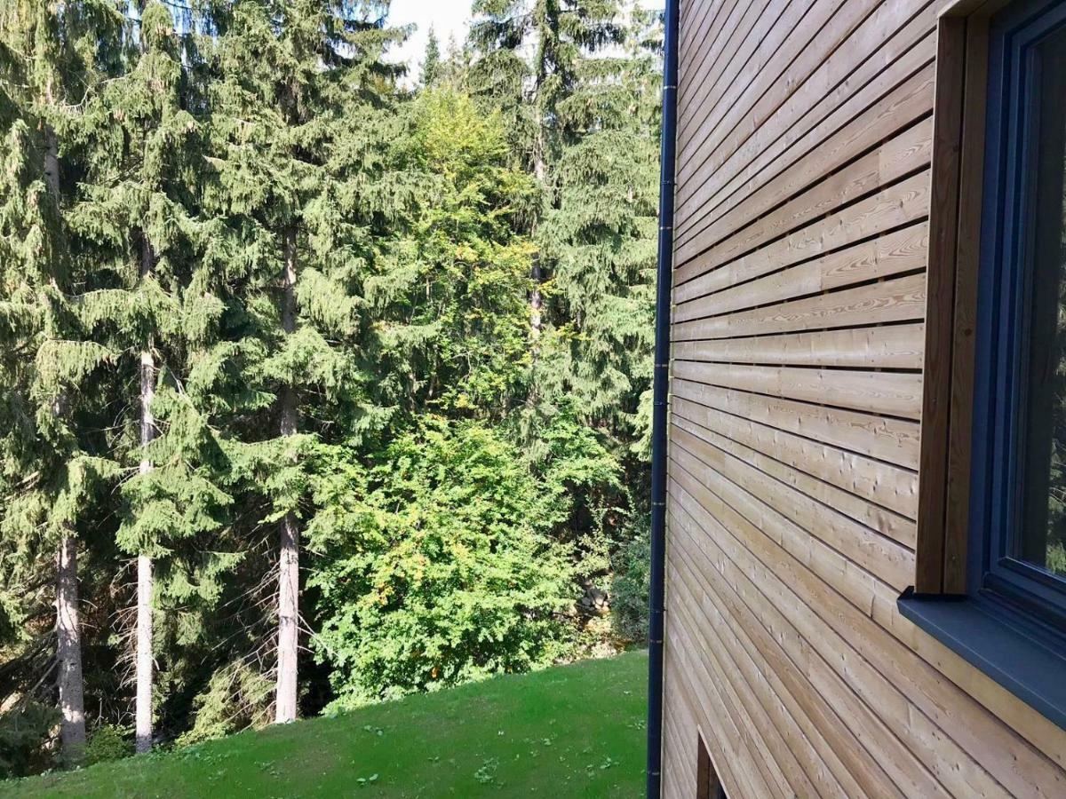Utulny Apartman U Mumlavskych Vodopadu Harrachov Extérieur photo